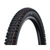 Schwalbe plášť Albert 29x2.50 GRAVITY PRO TLR AddixSoft radial skládací 11654589