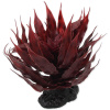 Rostlina REPTI PLANET sukulent Agave červená 18 cm 1ks