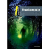 Frankenstein - Mary Shelley