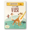 Svojtka V lese - Nechaj ožiť farby