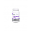 VETEXPERT GeriatiVet Dog Large Breed 45 tbl