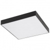 LED stropné svietidlo Rabalux Tartu 7900 (7900) čierne