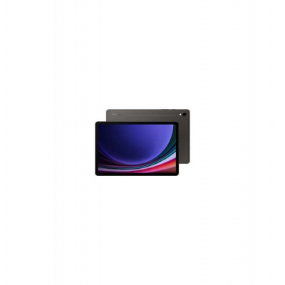 Samsung Galaxy Tab S9, 11", 8GB/128GB, WiFi, šedá (SM-X710NZAAEUE)