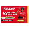 ENERVIT R2 Recovery Drink - - pomeranč 50 g pomeranč