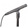 Audio-Technica AT2031