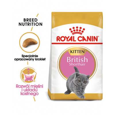 Royal Canin British Shorthair Kitten 2 kg granule pre britské krátkosrsté mačiatka
