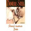 Stará mama Dan - Danielle Steelová
