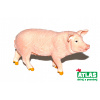 Atlas B - Figurka Prase 9 cm
