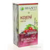MEGAFYT Bylinková lekáreň DOJČENIE ovocný čaj 20x1,5 g (30 g) Megafyt Pharma s.r.o.