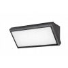 Nástenná LED lampa 12W RAPLA 7282 Rabalux