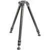 Gitzo Systematic GT4533LS GT4533LS