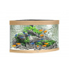 Juwel Trigon LED 190 akvárium set rohový dub 98,5x70x60 cm, 190 l