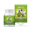 Liftea KOMBUCHA EnzymAktiv 60 kapsúl