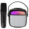 ADLER AD 1199 čierny Karaoke reproduktor s mikrofónom - sd/usb/aux/bluetooth