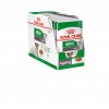 Royal Canin Mini Ageing 12 x 85 g