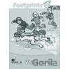 Footprints Level 3 Word Cards