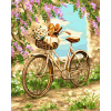 Maľovanie podľa čísel Gaira Bicykel M1813 (M1813C)