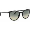Ray-Ban RB2204 901/32