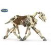 Kůň Skeleton