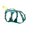 Non-stop dogwear RAMBLE Long postroj - teal - S