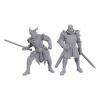 Dungeons & Dragons Nolzur's Marvelous Miniatures - Ravengard & Zevlor (Baldur's Gate)