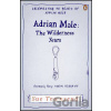 Adrian Mole: The Wilderness Years - Sue Townsend