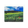 PODLOŽKA POD MYŠ FOTO NATEC ITALY 220X180MM 10-P (NPF-1403/10)