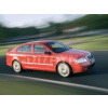 Nerez lišty dveří Škoda Octavia II -- rok výroby 2004-2012