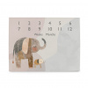 CEBA BABY Podložka míľniková na fotenie (92x72) Basic Elephant Family