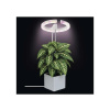 EMOS 06446155 Lampa pěstební Z7902 Grow 8W