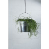 Kýblik New pozink, pr. 26 cm|Esschert Design