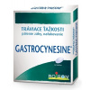 Gastrocynesine tbl.60