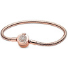 PANDORA Moments Signature 589046C01-17