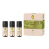 Poznávacia sada Freshness & Energy (Aróma Sauna)
