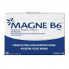 Magne-B6 sol.por. sol.por.10 x 10 ml
