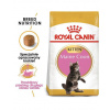 Royal Canin Maine Coon Kitten 0,4 kg granule pre mainské mývalie mačiatka