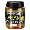 STARBAITS Pro Ginger Squid v dipe priemer 24 mm