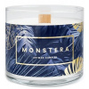 Artman Vonná sviečka Monstera Small Blue - sklo 400g