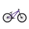 CTM DIRTKING Xpert 2025