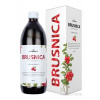 nefdesanté brusnica šťava 0,5 l