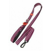 Vodítko pre psov BIVOUAK nastaviteľné 25mm/1,15-2m červené zlaté