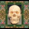 Painkiller - Samsara (CD)