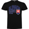 Superfutbal Pánske tričko Slovakia National Football Team, rôzne farby a veľkosti Farba: čierna, Veľkosť: 3XL