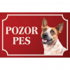 Austrálsky dobytkársky pes - Kovová tabuľka POZOR PES