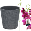 Obal na kvetináč popolavý 9,5 cm + opora na rastliny 58 cm sada
