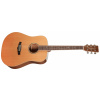 Tanglewood TW15 R