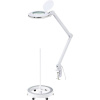 TOOLCRAFT 2391156+2389201 stolná lupa s LED osvetlením, Zväčšenie: 1.75 x, En.trieda 2021: F (A - G); 2391156+2389201
