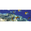 Obklad do kúpeľne mySPOTTI aqua Unterwasser 120x45 cm