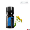 doTerra Blue Tansy 5 ml