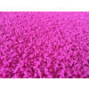 Vopi Color shaggy růžový 1 m2 Color shaggy růžový